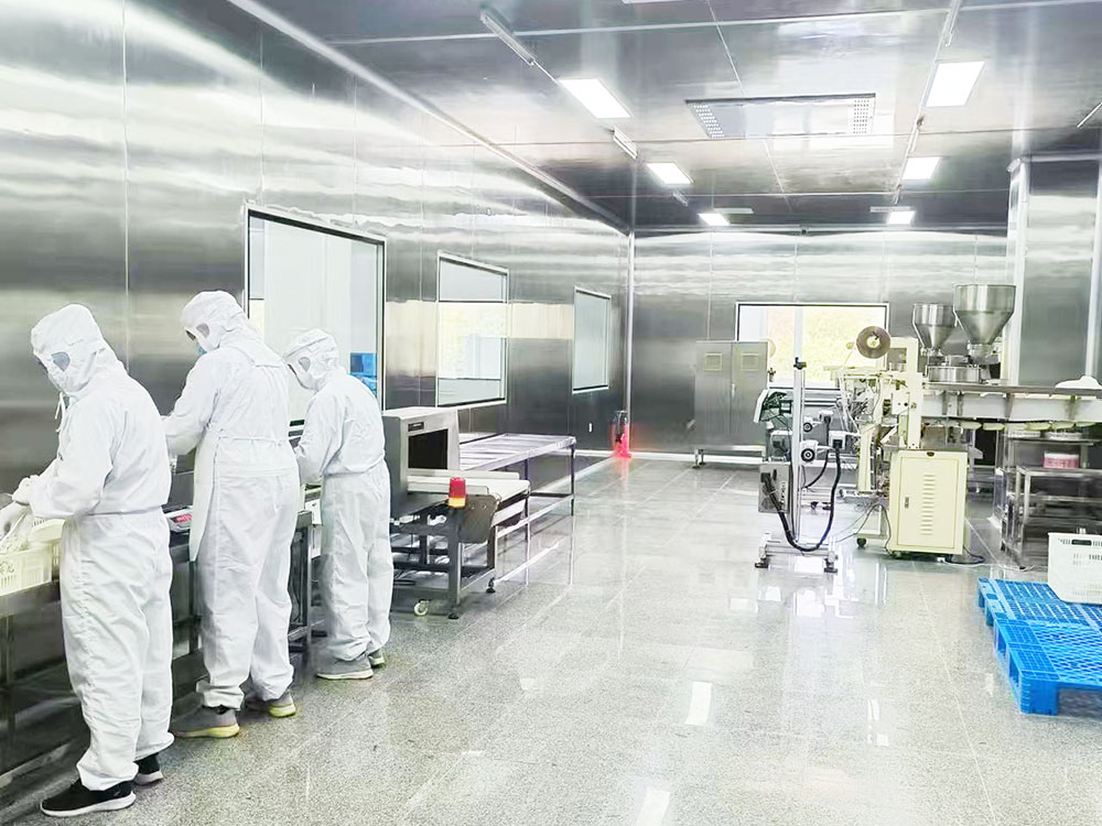 10萬級凈化車間